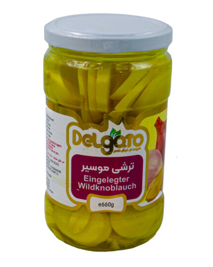 Eingelegter Wildknoblauch - Delgato0.jpg